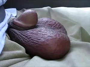 大きな女の子、猫、猫。 無料 エロ 動画 ...